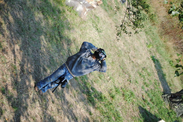 mf_287155794_c98303ed6e6f0077a69d9d37e42b93a3.jpg
