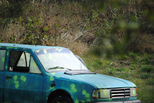 mf_287156470_b78257337a47f8b662ff7b7a02d94bda.jpg