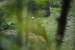 mf_287154152_5d0564ac8d138635d0b44dd52b42ce56.jpg