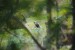 mf_287158396_5c3ba6d52c2ec4b98b0ed30eda7422fb.jpg